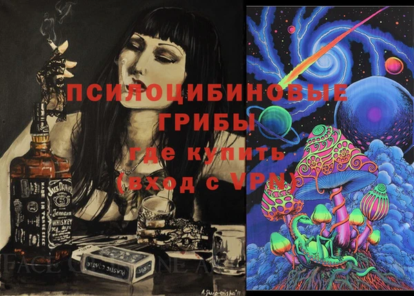 ECSTASY Алексеевка