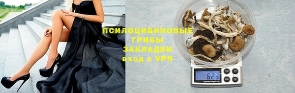 spice Алзамай