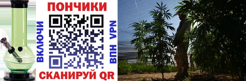 закладка  Курск  Бошки Шишки MAZAR 